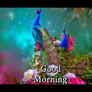 Meet your Posher, Sumeet